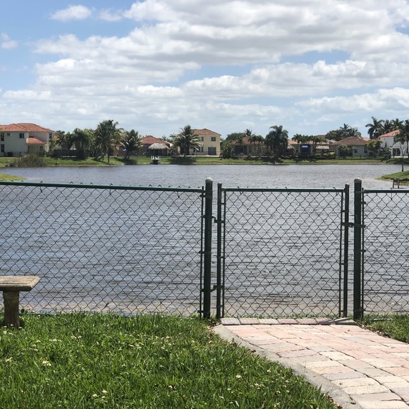 Meet your Posher, Daisy - Picture 2 of 2